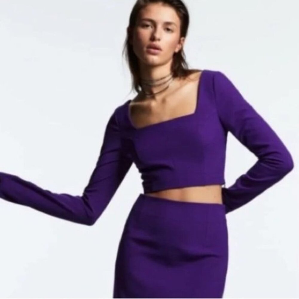 Zara Long Sleeve Crop Top
